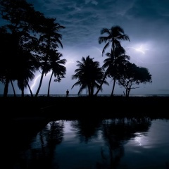 零碎的岛屿终会找到海