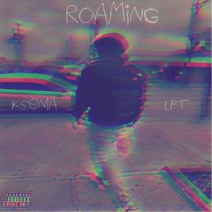 ROAMING (feat. Ksenia)