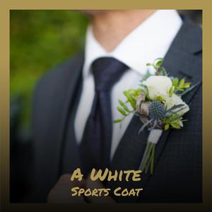 She Fought Like a Tiger