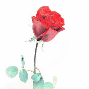 中国风编曲 demo