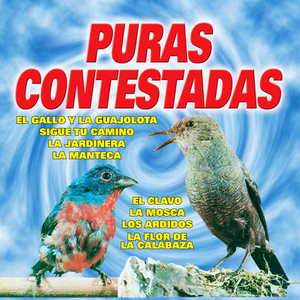 Contestacion al Pata Rajada