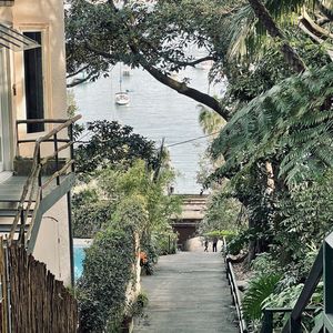 【FREE】"Albert Ave"