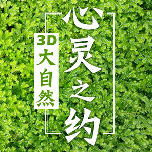 点不亮的萤火虫