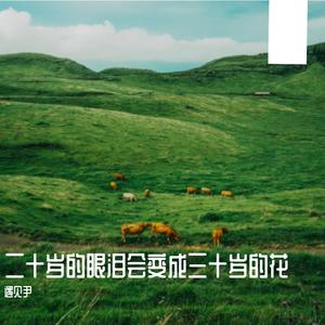 二十岁的眼泪会变成三十岁的花