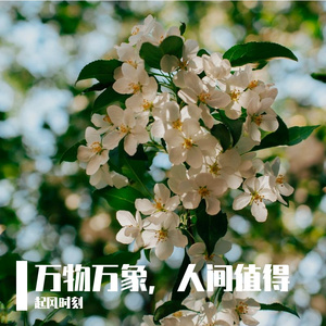 瞬息人间