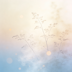 温柔赴约 婚礼背景音乐