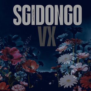 Sgidongo Vox