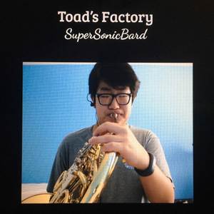Toad's Factory (Cover)