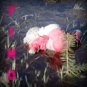 Stuck in Spider's Web