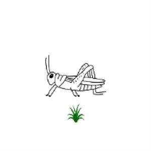 GRASHÜPFER