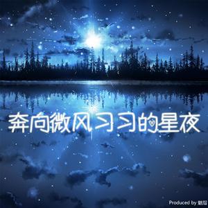 YOASOBI / 买辣椒不用券-奔向微风习习的星夜（起风了 & 夜に駆ける 混编）（魅指 remix）