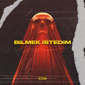 Bilmek Istedim
