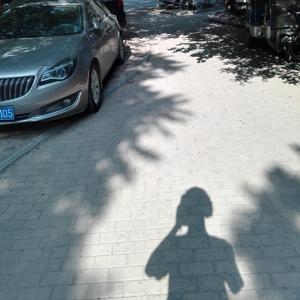 Beautiful summer