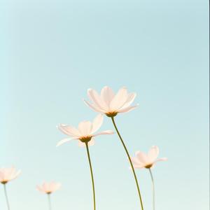 When You Put Your Hair Back