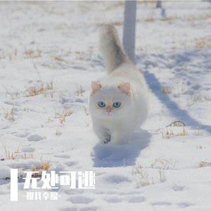 无处可逃
