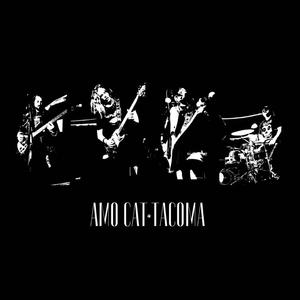 Miss Used (Live)