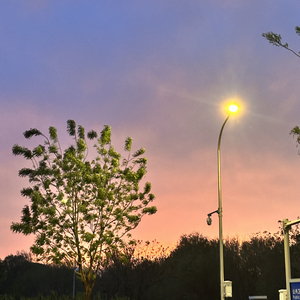 2026-04-13-加急单曲-家-Curry.Lu-fix1-02.mp3