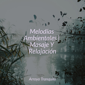 Retirarse Al Descanso