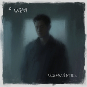 瞒着所有人爱了你很久