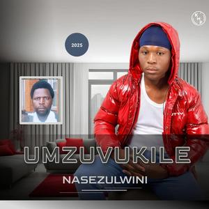 Nasezulwini