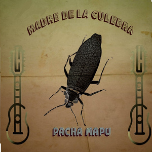 Pillanes del Bosque (San Juanito)