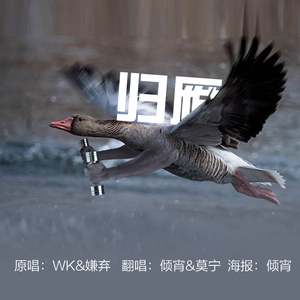 归雁（Cover WK / 嫌弃）
