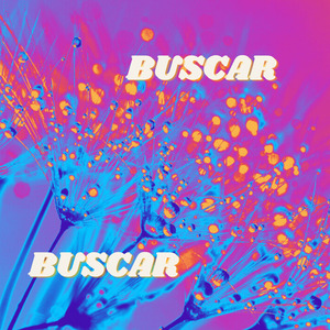 Buscar