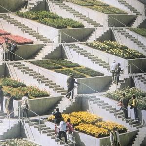 Las desviaciones del deseo