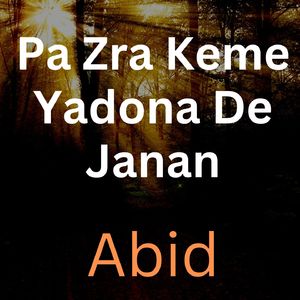 Razai Rotho Razai Pa Panpeer Ke Ijtema Da
