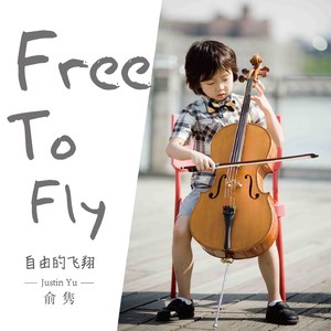 自由的飞翔
