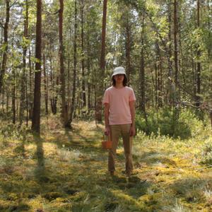 летние деньки