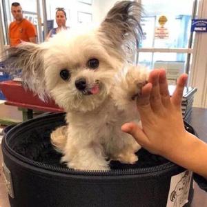 爱情穿越的瞬间