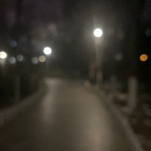 马年 咱就这么活