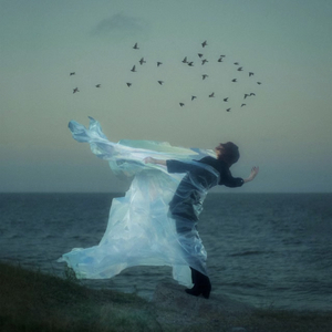 绝对占有 相对自由