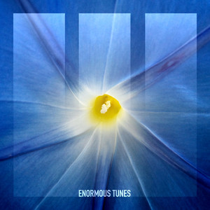 Nobody but You (Extended Mix)