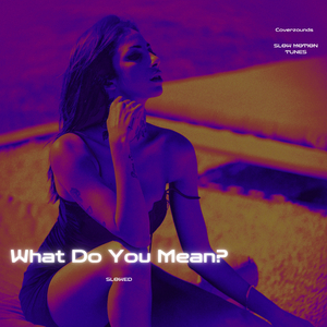 What Do You Mean? (Slowed)
