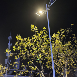 保持彩色#百万奖金AI创作大赛+主题一