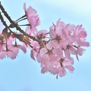 Examplary Calming Noise