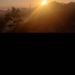 Crown on the continent