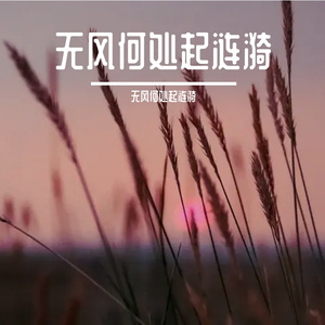 雨落在纸伞 伴奏