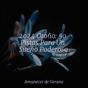 Envuelto en el velo del crepúsculo