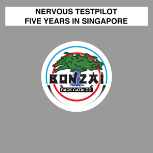 Five Years In Singapore (Miikka Leinonen Remix)