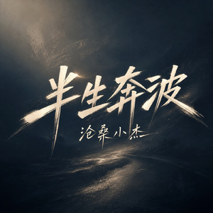 半生奔波