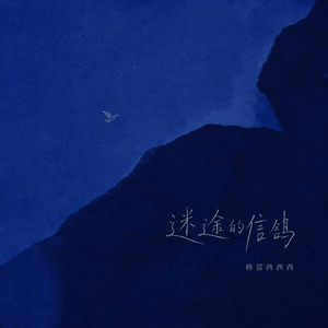 迷途的信鸽