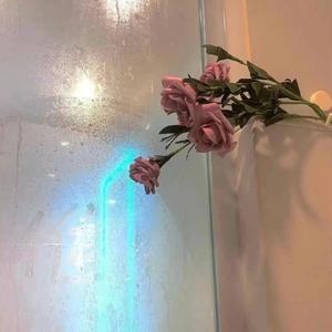 Disconnected for 21 days