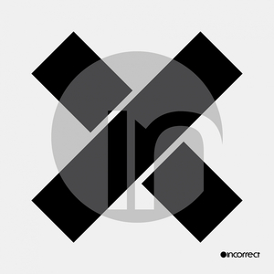 Bird On A Wire (Original Mix)