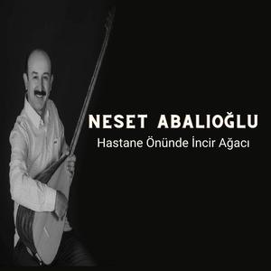 Hastene Önünde İncir Ağacı
