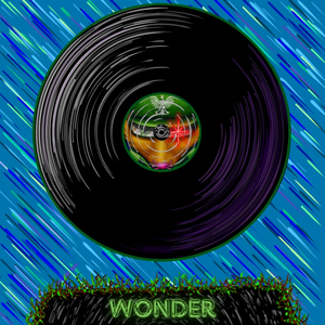 Wonder