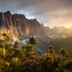 盛夏的果实(Cover 莫文蔚）