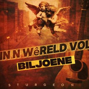 In n wereld vol biljoene (Acoustic Version)